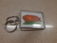 Pig Keyring
