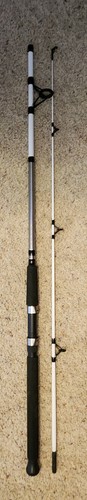 Shakespeare bwsp medium - shakespeare, 70