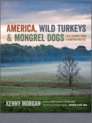 America wild turkeys - america,,