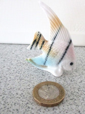 MINIATURE  ANGEL FISH