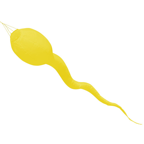 Flagseller sperm tadpole - flagseller,