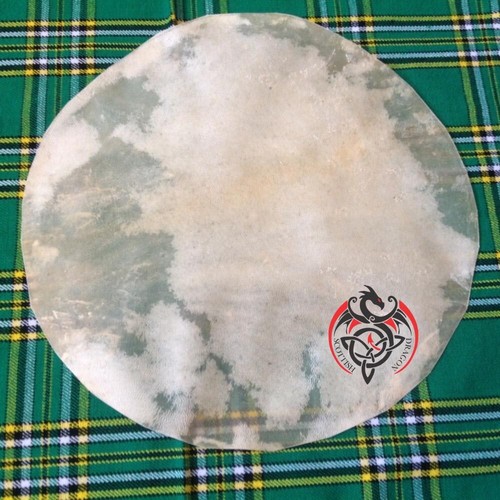 Calf skin drum head - head, banjo