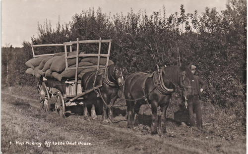 Kent hop picking - kent., oast