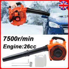 Handheld Petrol Leaf Air