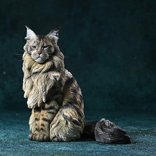 Maine Coon Cat Model-Large  Sitting Kitten Figurine Realistic Statue Deco
