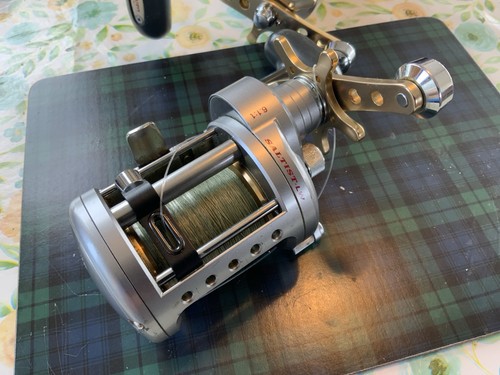 Daiwa fishing saltist reels - fishing,