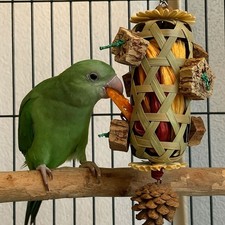 Bird Parrot Chew Toy Cornhusk Pinecone Toy Parrot Foraging Basket Bite-Resistant