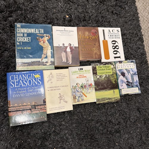 Vintage sport cricket - cricket, themed