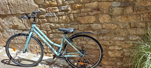 Riverside 120 hybrid bike - ,