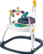Fisher-Price Baby Bouncer