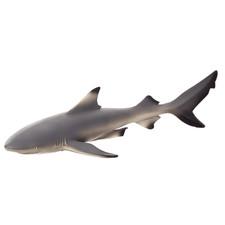 Blacktip Reef Shark Toy plastic animal sea toy figure model figurine fish bath