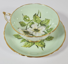 Paragon White Cabbage Rose