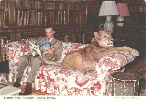 Vintage john hinde postcard - john,
