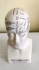 Ceramic Phrenology Head