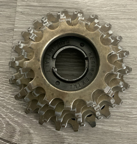 Regina extra freewheel speed - regina,