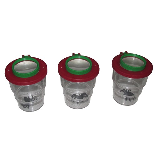 Bug insect magnifying - 3,