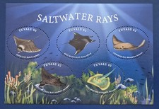 Tuvalu 2017 / Marine Life -