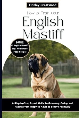 How train your english - train,