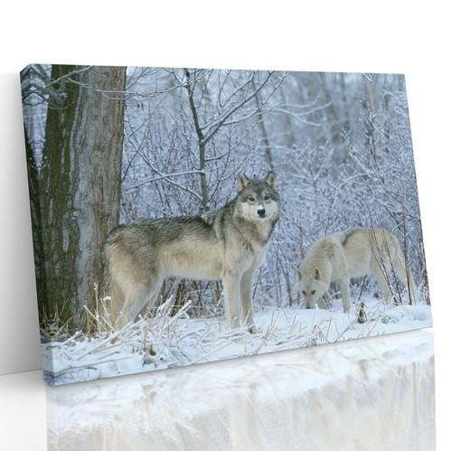 Wolves winter forest canvas - wolves,