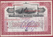 Homestake Mining Company,  USA