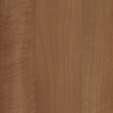 Caravan wallboard amati walnut - caravan,