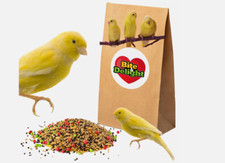 food for canaries zebra