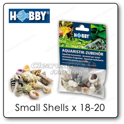 Hobby natural hermit crab - hobby,