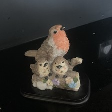 ROBIN and chicks COUNTRY