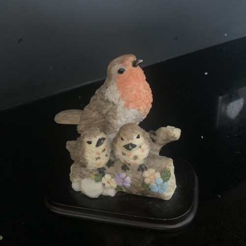 Robin and chicks country - and,