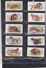 ADKIN & SONS - WILD ANIMALS OF