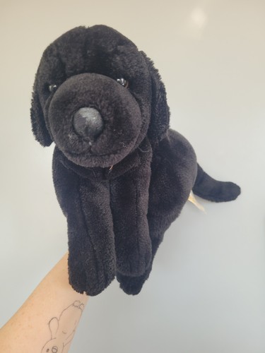 Animal alley black labrador - animal,