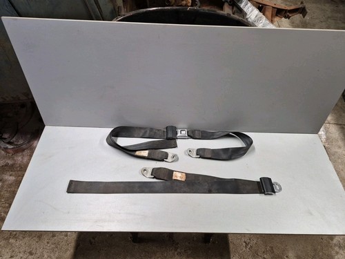 Bendix lap seat belt 100274 - belt,