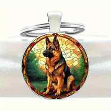 German Shepherd Alsatian Dog