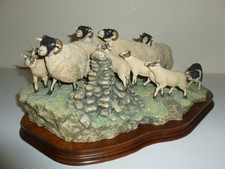 Border Fine Arts: "GATHERING IN THE STRAYS" Sheep Border Collie