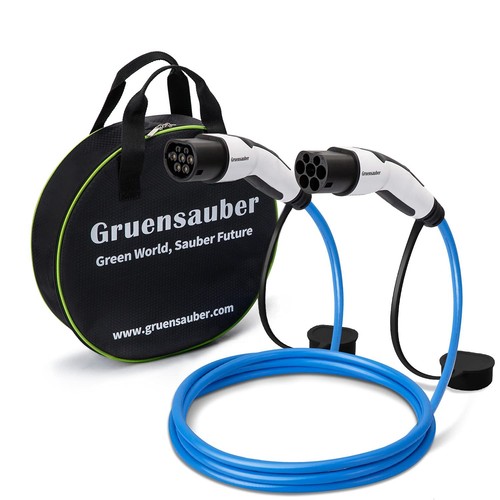 Gruensauber type 2 - type, ev
