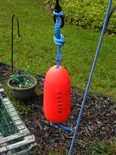 Free ship 258 maine lobster - maine,