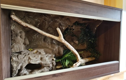 Brand new custom - brand, vivarium