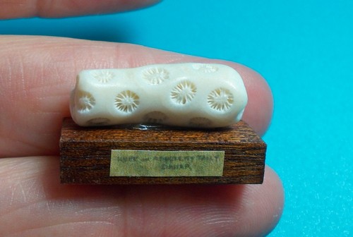Dolls house miniature mahogany - miniature,