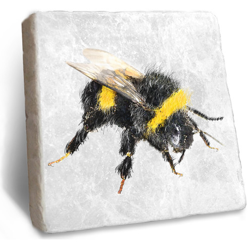 Animal coasters single - coasters,