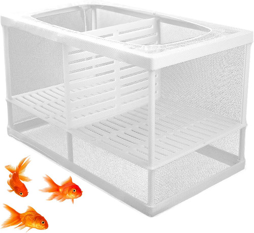 Aquarium breeding box fish - aquarium,