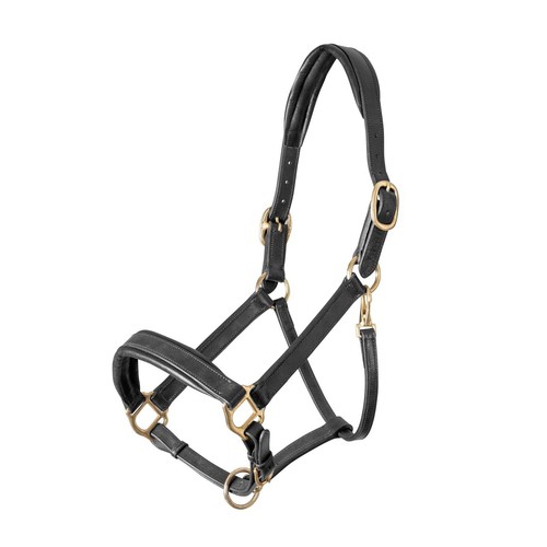 Shires velociti gara leather - shires,