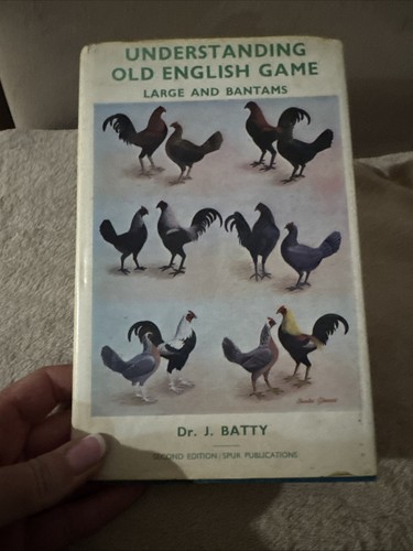 Understanding old english game - understanding,