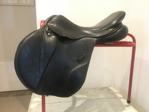 Albion adjusta legend jump - k2,