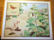 Eileen Soper EnId Blyton Nature plate HATS FOR SALE Fairy 21x17 print 1950s