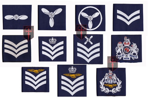 Pair official royal air - pair,