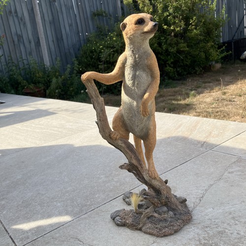 Meerkat made country artist - made,