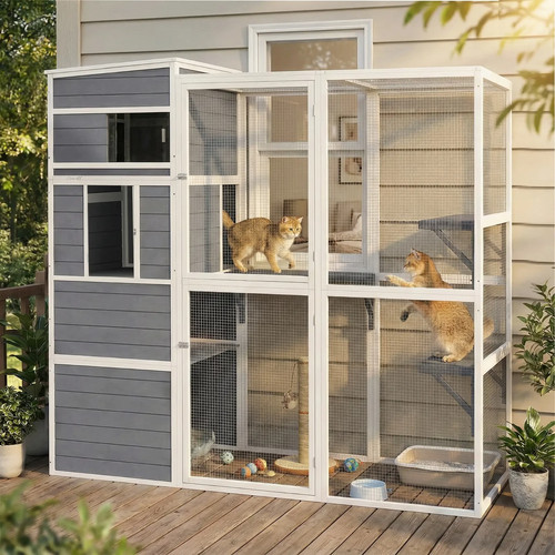 Wooden catio cat - cat, outdoor