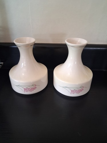 Royal worcester spode palissy - royal,