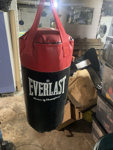 Everlast 2ft punchbag.