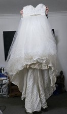 Symphony of Venus Wedding